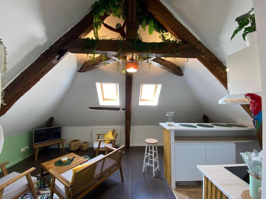 Sous Les Tropiques D'Ablis Apartment Luaran gambar